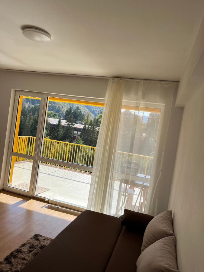 Anissia Apartament Apartamento Sinaia Exterior foto